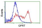 QPRT Antibody in Flow Cytometry (Flow)