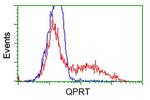 QPRT Antibody in Flow Cytometry (Flow)