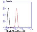 EEA1 Antibody in Flow Cytometry (Flow)