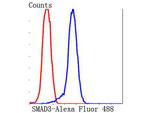 SMAD3 Antibody in Flow Cytometry (Flow)