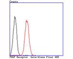 PDGF Receptor beta Antibody in Flow Cytometry (Flow)