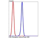 LDL Receptor Antibody in Flow Cytometry (Flow)