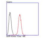 EGFR Antibody in Flow Cytometry (Flow)