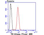 Tyrosine Hydroxylase Antibody in Flow Cytometry (Flow)