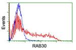 RAB30 Antibody in Flow Cytometry (Flow)