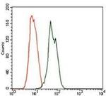 Rab4 Antibody in Flow Cytometry (Flow)