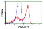 RANGAP1 Antibody in Flow Cytometry (Flow)