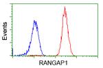 RANGAP1 Antibody in Flow Cytometry (Flow)