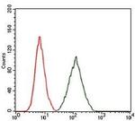 RAP1A Antibody in Flow Cytometry (Flow)