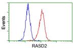 RASD2 Antibody in Flow Cytometry (Flow)