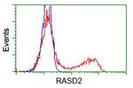 RASD2 Antibody in Flow Cytometry (Flow)