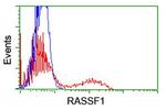 RASSF1 Antibody in Flow Cytometry (Flow)