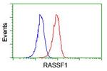 RASSF1 Antibody in Flow Cytometry (Flow)