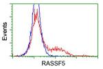 RASSF5 Antibody in Flow Cytometry (Flow)