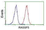 RASSF5 Antibody in Flow Cytometry (Flow)