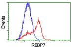 RBBP7 Antibody in Flow Cytometry (Flow)