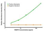 RBBP9 Antibody in ELISA (ELISA)