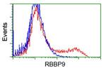 RBBP9 Antibody in Flow Cytometry (Flow)