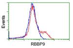 RBBP9 Antibody in Flow Cytometry (Flow)