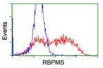 RBPMS Antibody in Flow Cytometry (Flow)