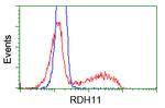 RDH11 Antibody in Flow Cytometry (Flow)