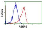 REEP2 Antibody in Flow Cytometry (Flow)