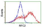 RFC2 Antibody in Flow Cytometry (Flow)