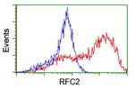 RFC2 Antibody in Flow Cytometry (Flow)