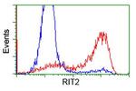 RIT2 Antibody in Flow Cytometry (Flow)