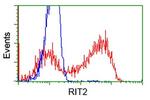 RIT2 Antibody in Flow Cytometry (Flow)