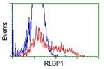 RLBP1 Antibody in Flow Cytometry (Flow)