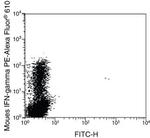 IFN gamma Antibody in Flow Cytometry (Flow)
