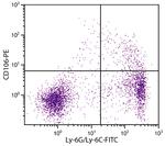 VCAM-1 Antibody in Flow Cytometry (Flow)