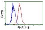 RNF144B Antibody in Flow Cytometry (Flow)