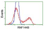 RNF144B Antibody in Flow Cytometry (Flow)