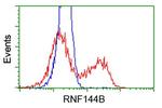 RNF144B Antibody in Flow Cytometry (Flow)