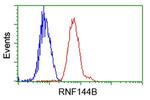 RNF144B Antibody in Flow Cytometry (Flow)