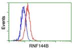 RNF144B Antibody in Flow Cytometry (Flow)