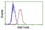 RNF144B Antibody in Flow Cytometry (Flow)