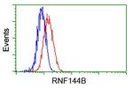 RNF144B Antibody in Flow Cytometry (Flow)