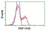 RNF144B Antibody in Flow Cytometry (Flow)