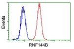 RNF144B Antibody in Flow Cytometry (Flow)