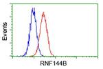 RNF144B Antibody in Flow Cytometry (Flow)