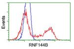 RNF144B Antibody in Flow Cytometry (Flow)