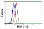 RNF144B Antibody in Flow Cytometry (Flow)