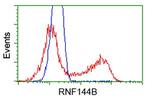 RNF144B Antibody in Flow Cytometry (Flow)