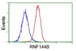 RNF144B Antibody in Flow Cytometry (Flow)