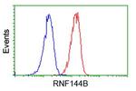 RNF144B Antibody in Flow Cytometry (Flow)