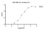 SARS-CoV-2 Spike Protein (RBD) (aa319-541), His Tag Protein in Functional Assay (FN)