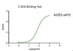 SARS-CoV-2 Spike Protein (S1/S2) (aa16-1213), His-Flag Tag Protein in Functional Assay (FN)